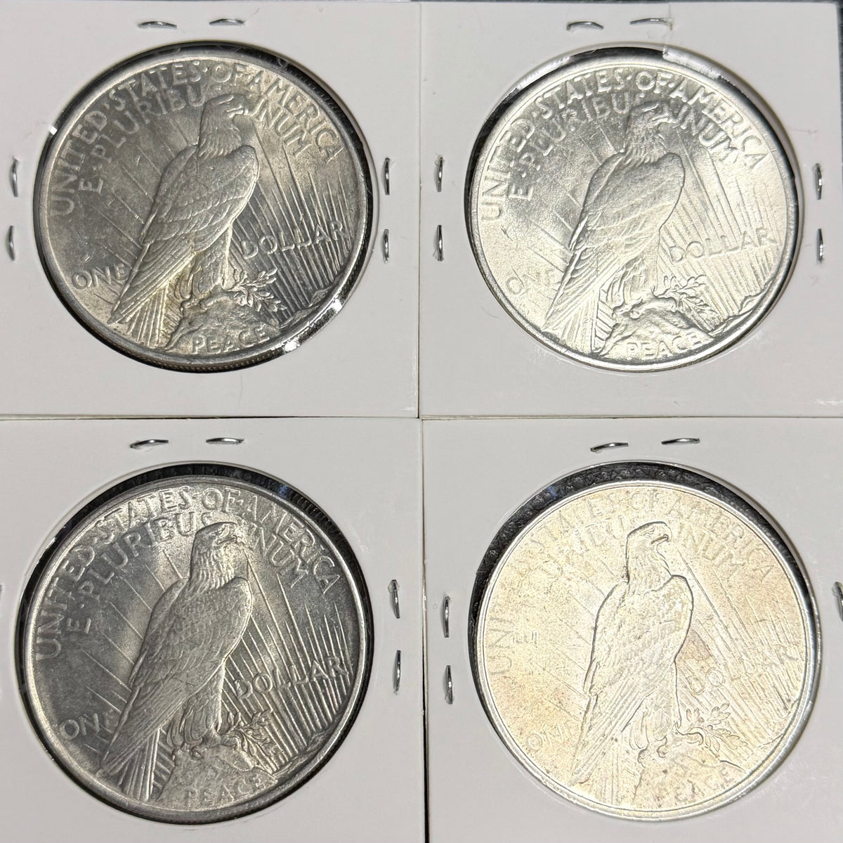 Peace Dollar - Random Common Date - AU+