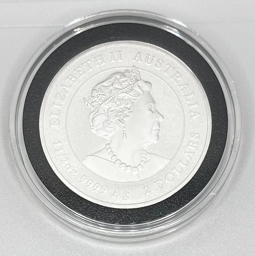 Australian - 2022 White Bellied Sea Eagle  - 1.5 ozt.