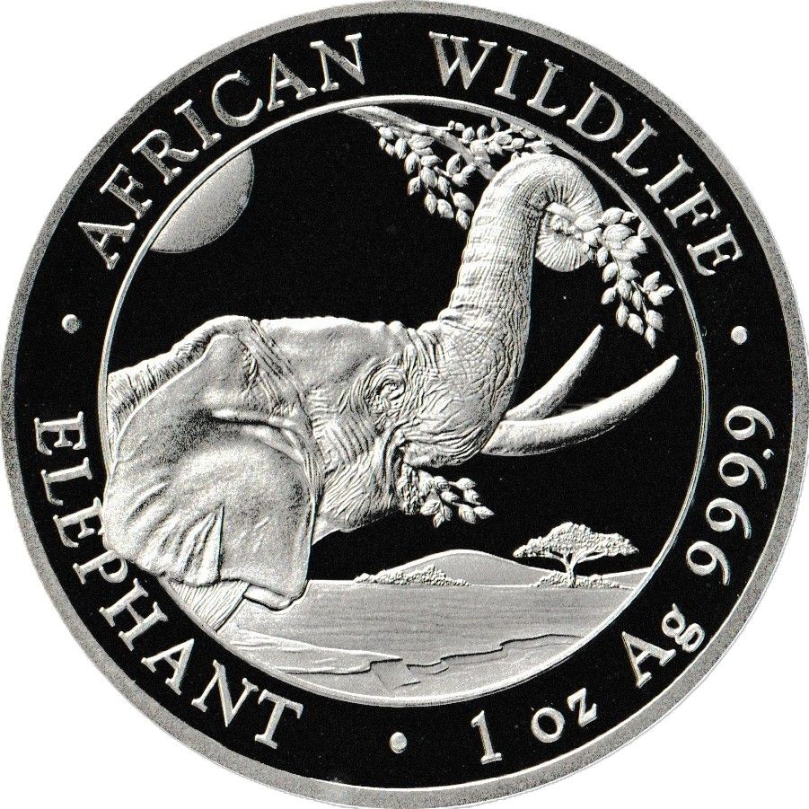 2023 Somalian Commemorative Elephant 1 oz Silver Coin